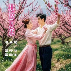 桃源方家-快四步舞曲