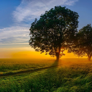 Endless Ride (Killigrew Remix)