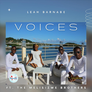 Voices (feat. The Melisizwe Brothers)