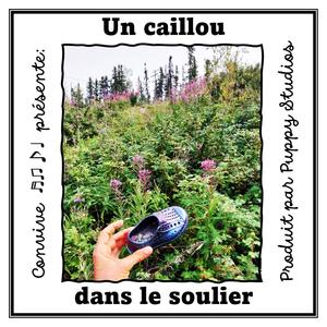 Un caillou dans le soulier