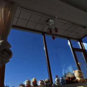 我们爱过吗大明猩-此用户已注销-0