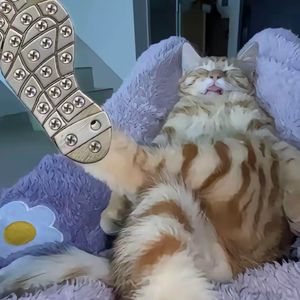 《夕阳下的海浪》