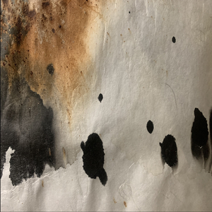 4 Days After New Moon