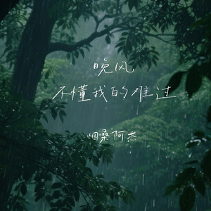 晚风不懂我的难过
