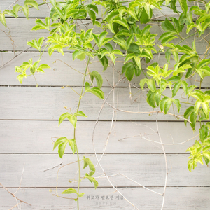 위로가 필요한 지금