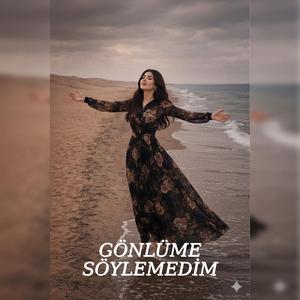 GÖNLÜME SÖYLEMEDİM