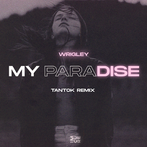 Paradise (Tantok Remix)