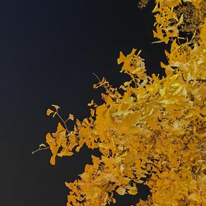 时间，车子，奶奶，女孩(prod.by Morrow) (Demo)