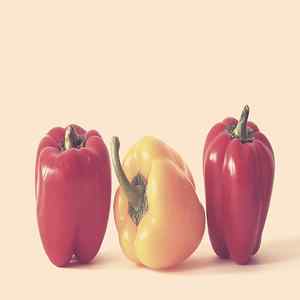 抚慰的精致餐饮回忆