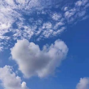 我们（Prod by Vezzy ）