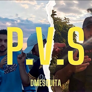 P. V. S