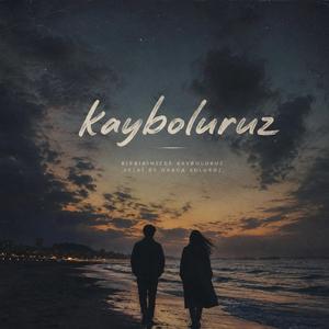 Kayboluruz