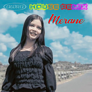 House Remix Merane