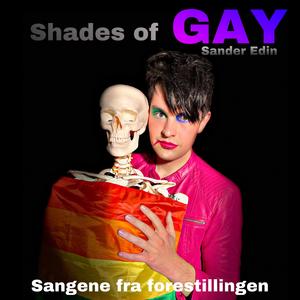 Din skitne homogutt