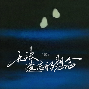 无法遗忘的想念