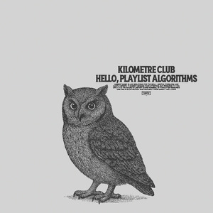 Hello, Playlist Algorithms
