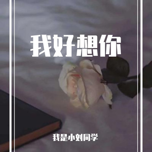 我好想你