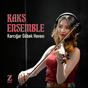 Karcığar Göbek Havası