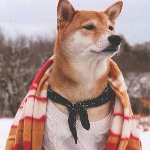 共谋江山（翻自 萧忆情Alex）