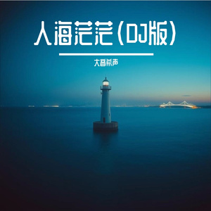人海茫茫(DJ版)