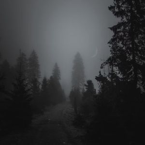 Can't Get You Out of My Head