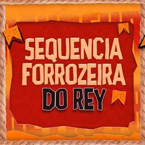 Sequencia Forrozeira do Rey