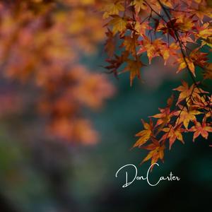 Sad 19th November Story to Remember (True Story)