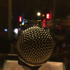 一个人看电影（Cover 小熊饼干）