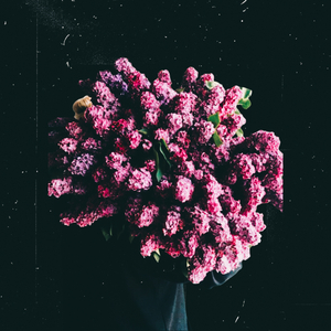 Запах сирени