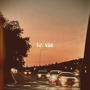te vas