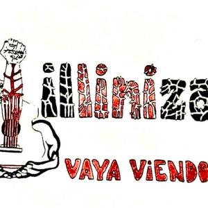 Vaya viéndolo