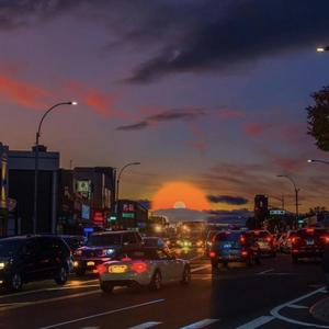 旋律电摇（DJ版）