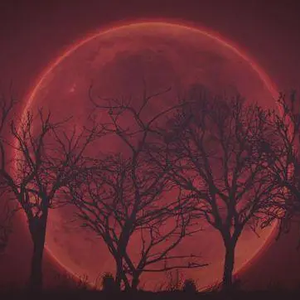 I wanna live together 'til we dead