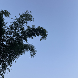 像风一样经过.mp3