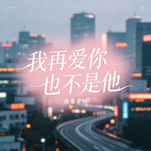 我再爱你也不是他
