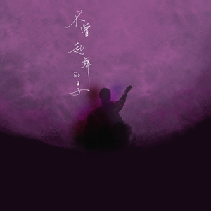 不曾起舞的日子