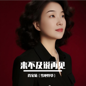 来不及说再见