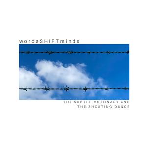 The Subtle Visionary And The Shouting Dunce