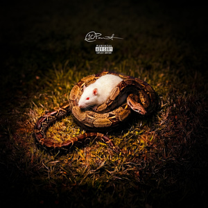 Snake Story Pt.3