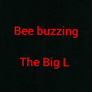 Bee Buzzing