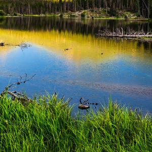 重生之真的没喝多