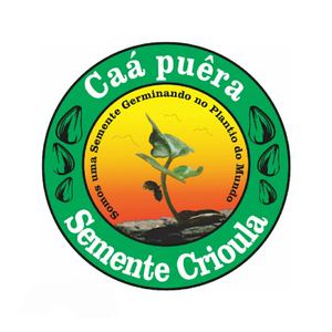 Chegou em São Paulo