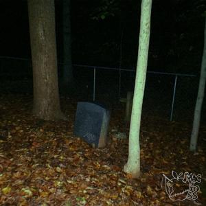 Rabid (Live at The Pocket)