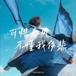可惜春风不懂我伤悲
