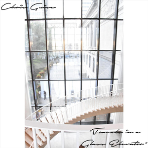 Travels in a Glass Elevator