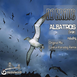 Albatros (Coskun Karadag Remix)