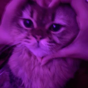 石阶湿滑hiphop type beat(003)