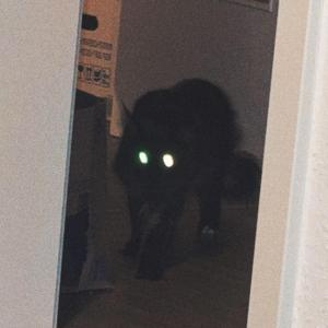 bars freestyle (feat. CL¥XN & pasi)