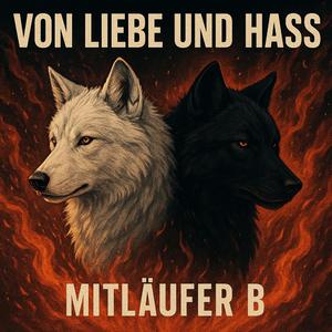 Party bis zum Morgen