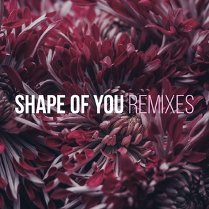 Shape of You (Future Bass Remix)